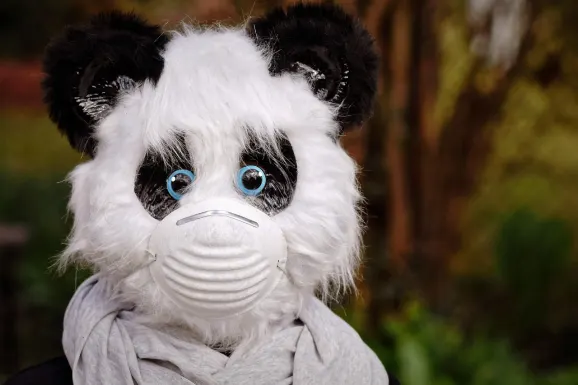 ثندربولت كازينو الدعم